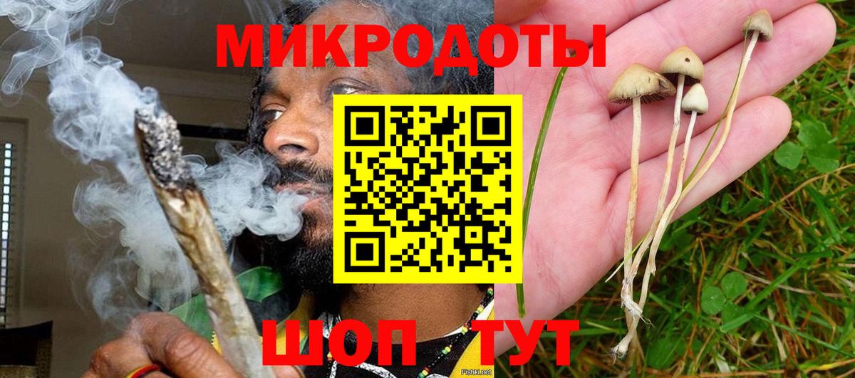 Галлюциногенные грибы Cubensis  Вход с VPN  Галлюциногенные грибы Cubensis  Дзержинский 